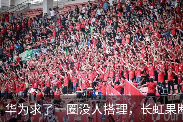 华为求了一圈没人搭理，长虹果断接盘